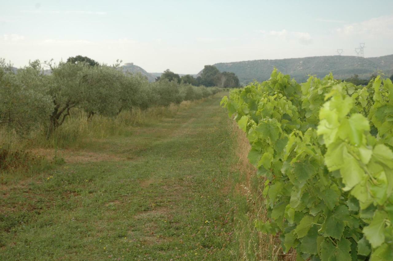 Domaine De Sevanes Saint-Paul-les-Fonts ภายนอก รูปภาพ